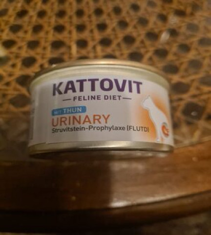 Kattovit