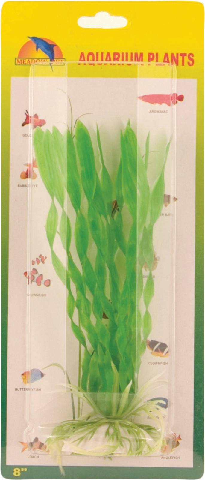 Vallisneria spiralis plastic