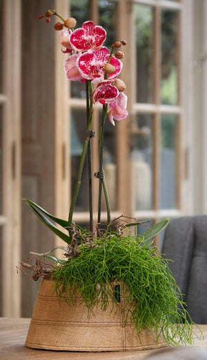 Velda Trendy Pond Juuttikangas koko 30cm