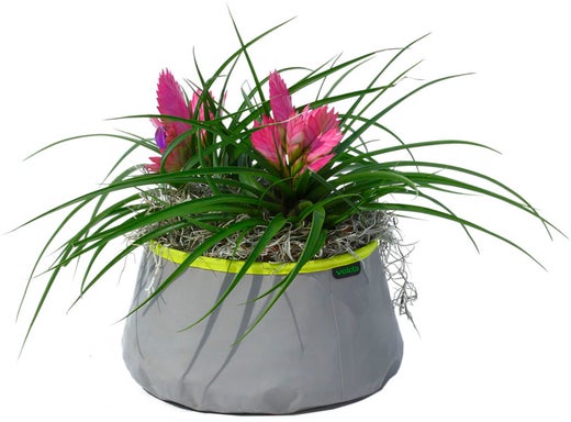 Velda Colour Pond mini Harmaa/Lime Koko 30cm