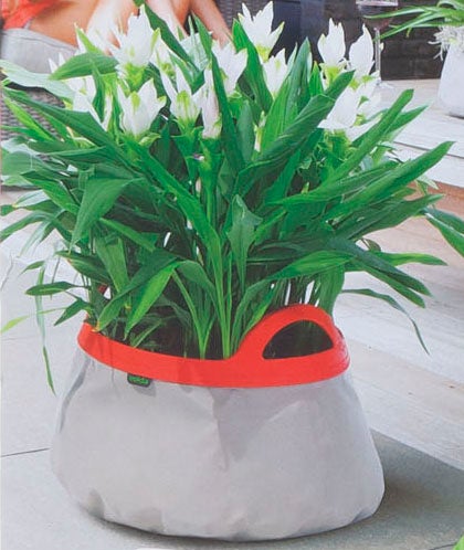 Velda Colour Pond Harmaa/Pinkki Koko 40cm