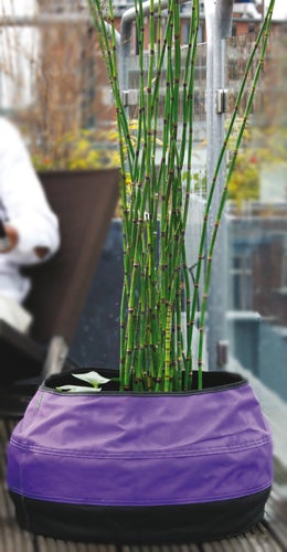 Velda Trendy Pond Purppura pyöreä Koko 50cm