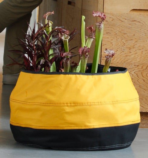 Velda Trendy Pond Oranssi pyöreä Koko 50cm